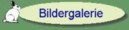 Bildergalerie
